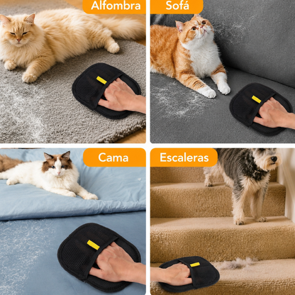Pet hair removal glove